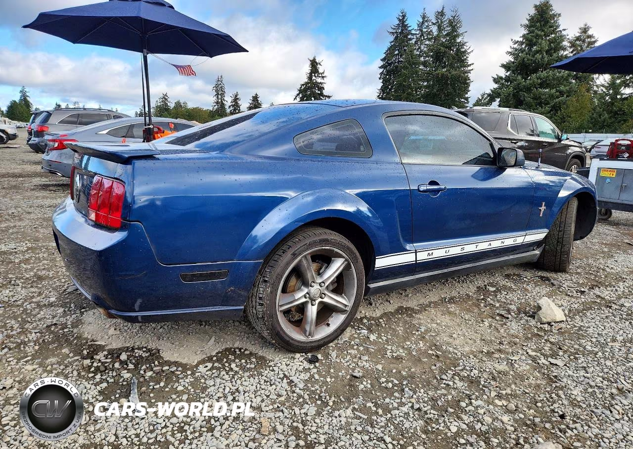 2008 Ford Mustang VIN:1ZVHT80N685126136 - 3