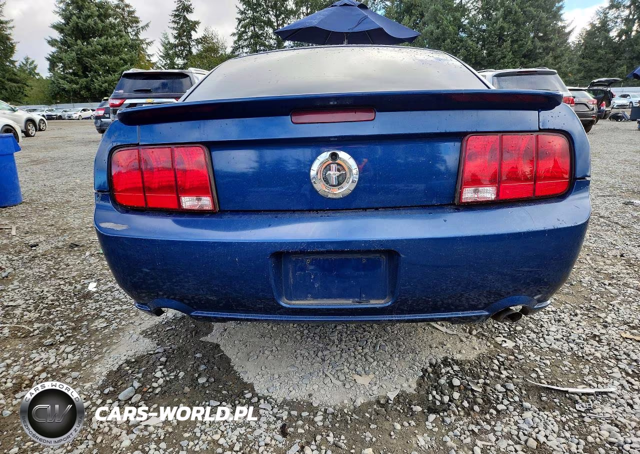 2008 Ford Mustang VIN:1ZVHT80N685126136 - 6