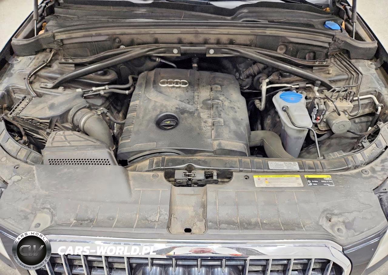 2013 Audi Q5 Premium Plus VIN:WA1LFAFP6DA016915 - 12