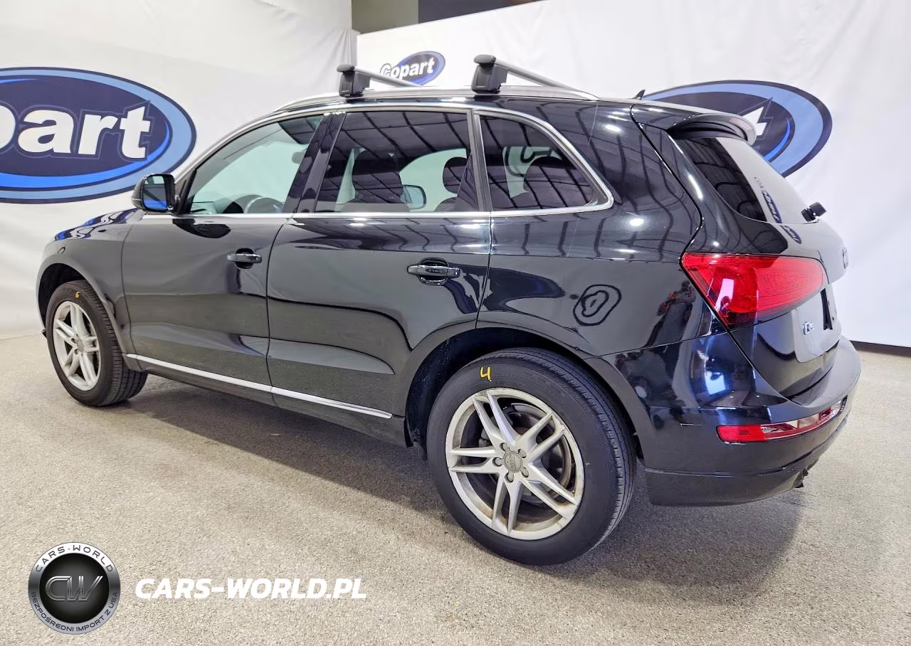 2013 Audi Q5 Premium Plus VIN:WA1LFAFP6DA016915 - 2