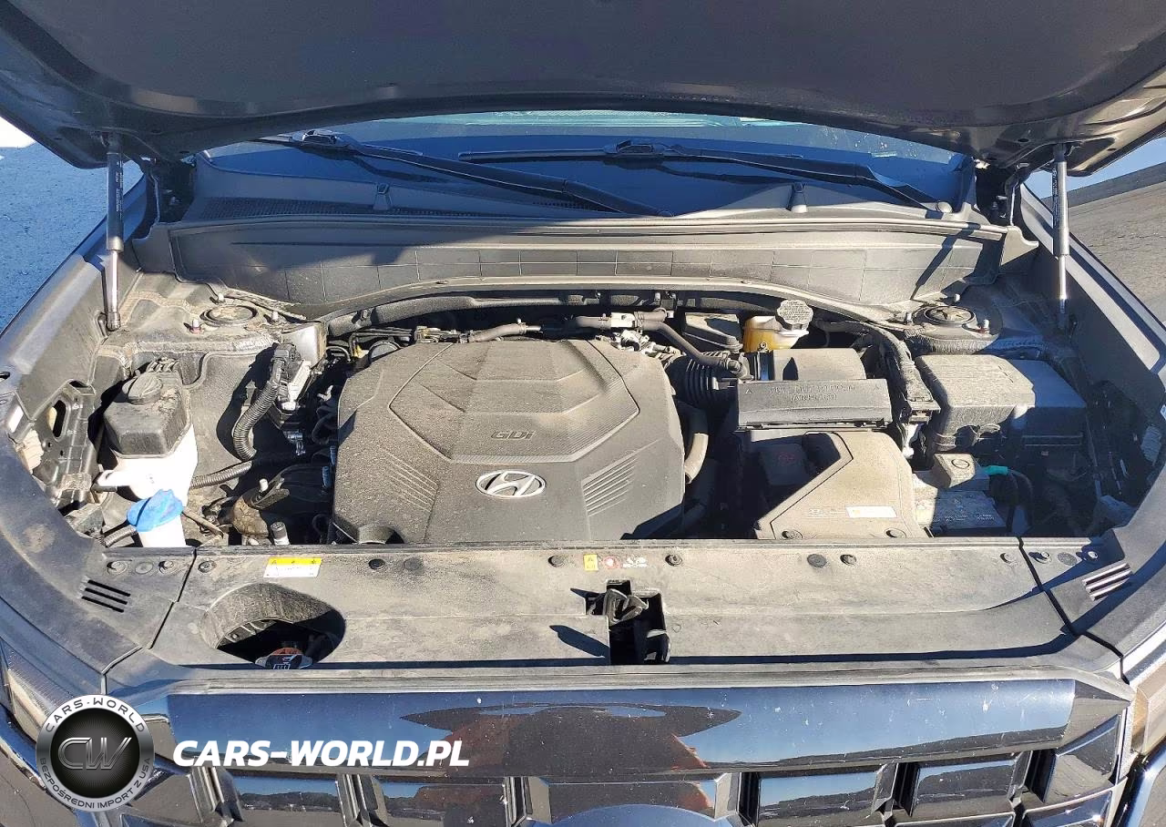 2024 Hyundai Palisade Limited VIN:KM8R5DGE9RU670844 - 12