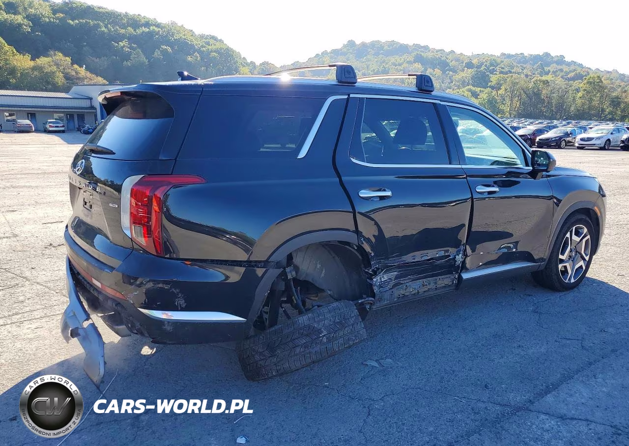2024 Hyundai Palisade Limited VIN:KM8R5DGE9RU670844 - 3