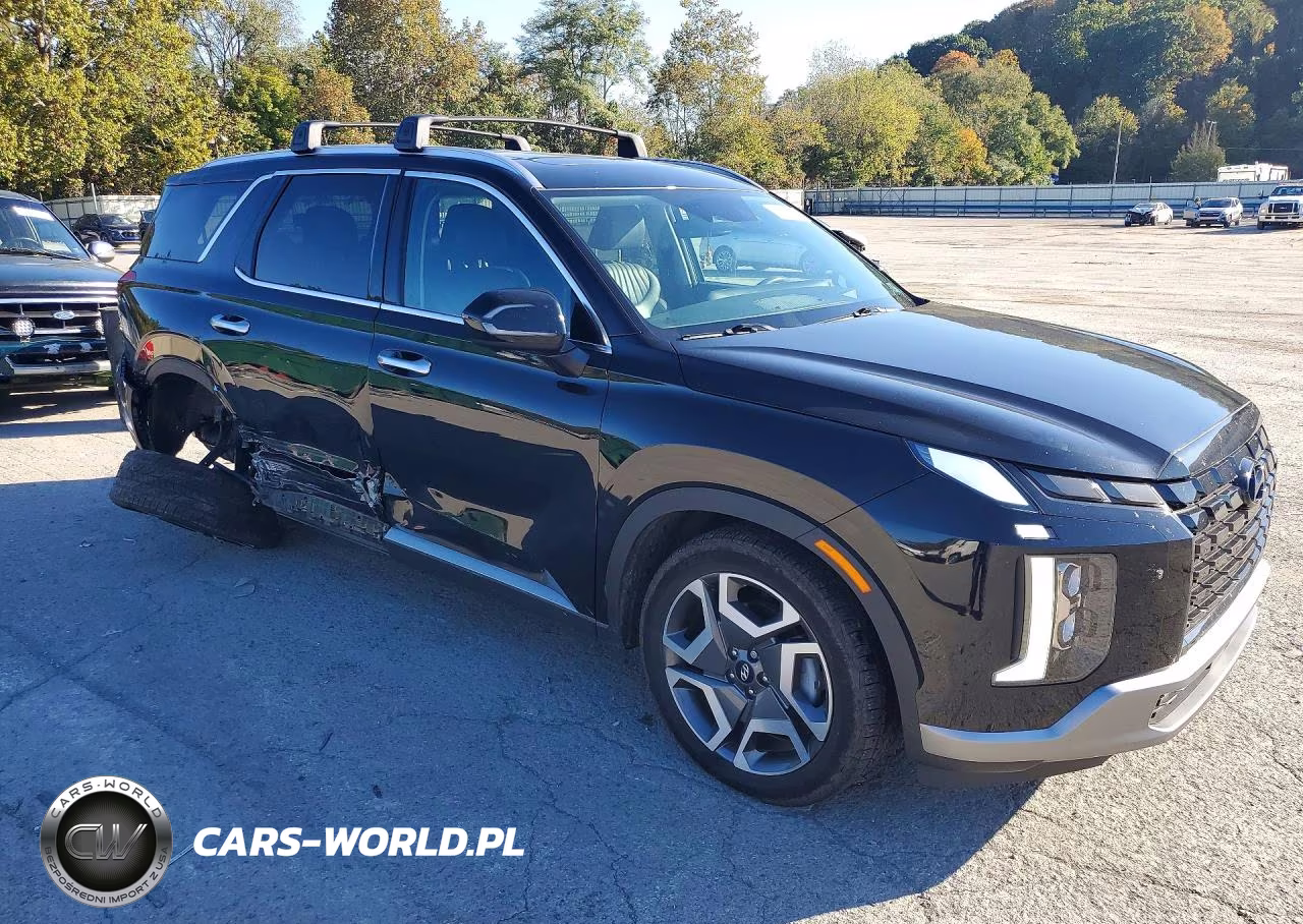 2024 Hyundai Palisade Limited VIN:KM8R5DGE9RU670844 - 4