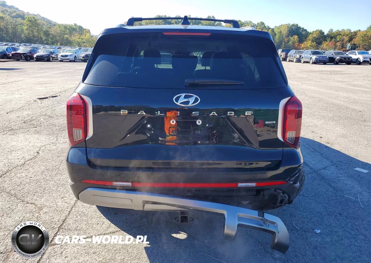 2024 Hyundai Palisade Limited VIN:KM8R5DGE9RU670844 - 6