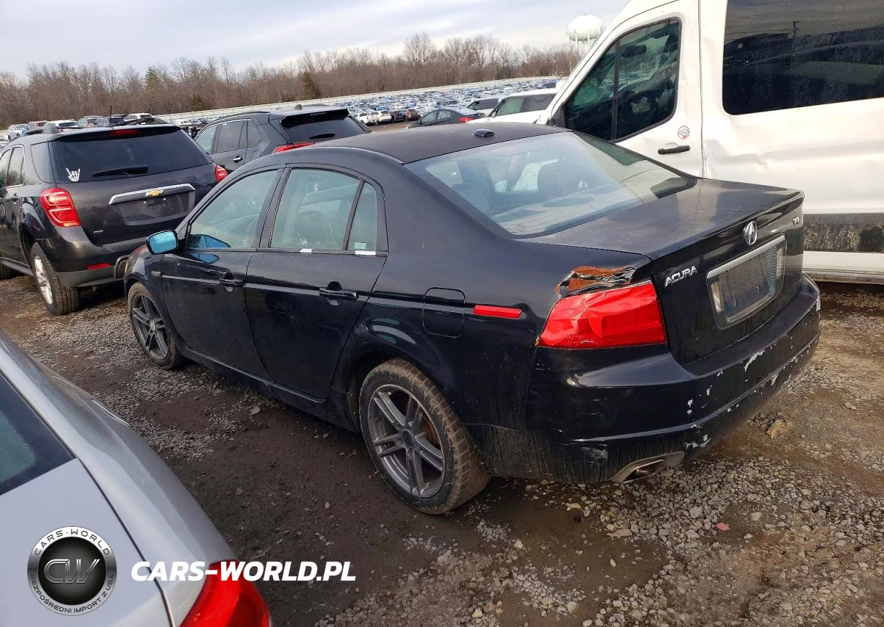 2004 Acura Tl VIN:19UUA66204A043975 - 2
