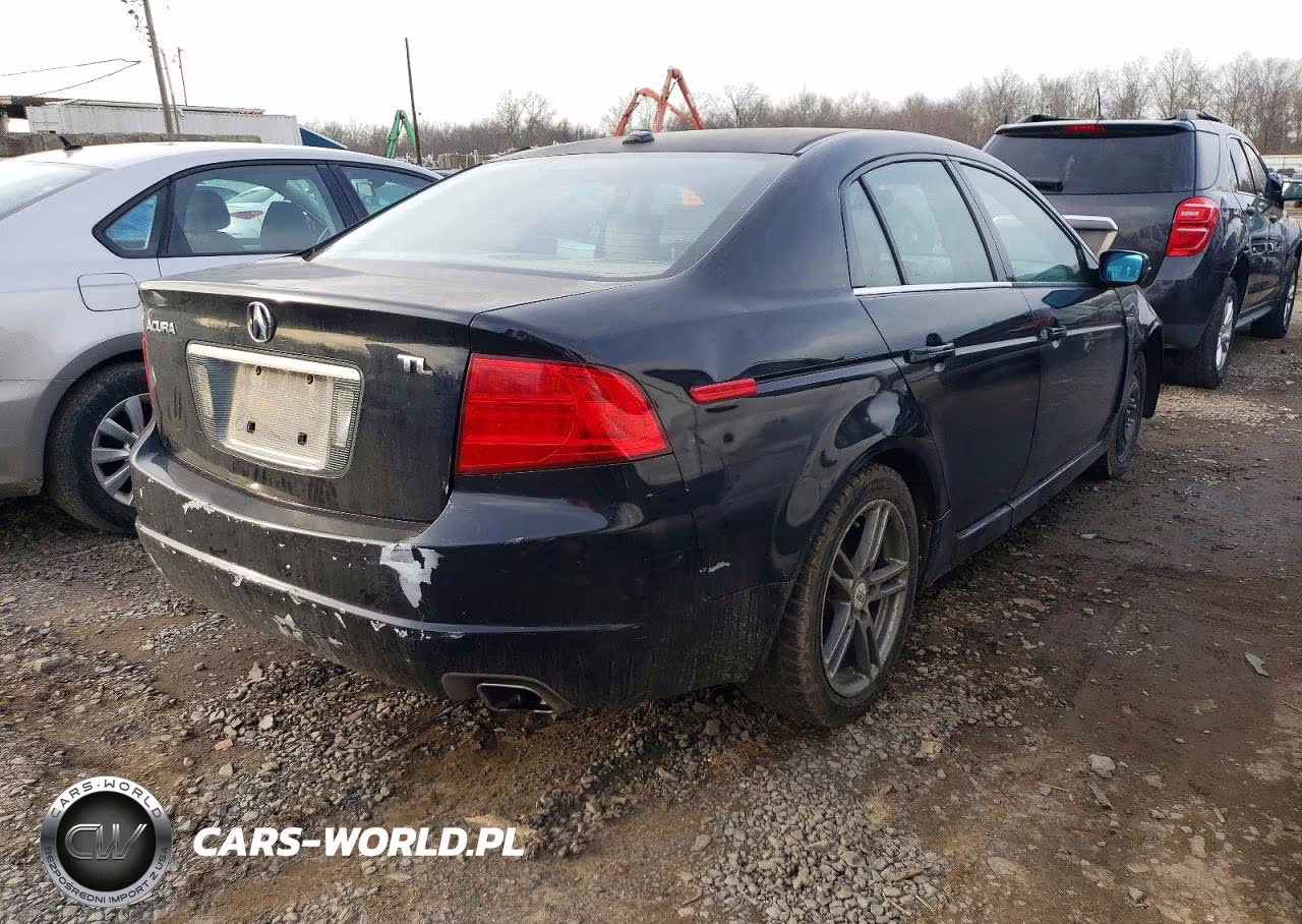 2004 Acura Tl VIN:19UUA66204A043975 - 3