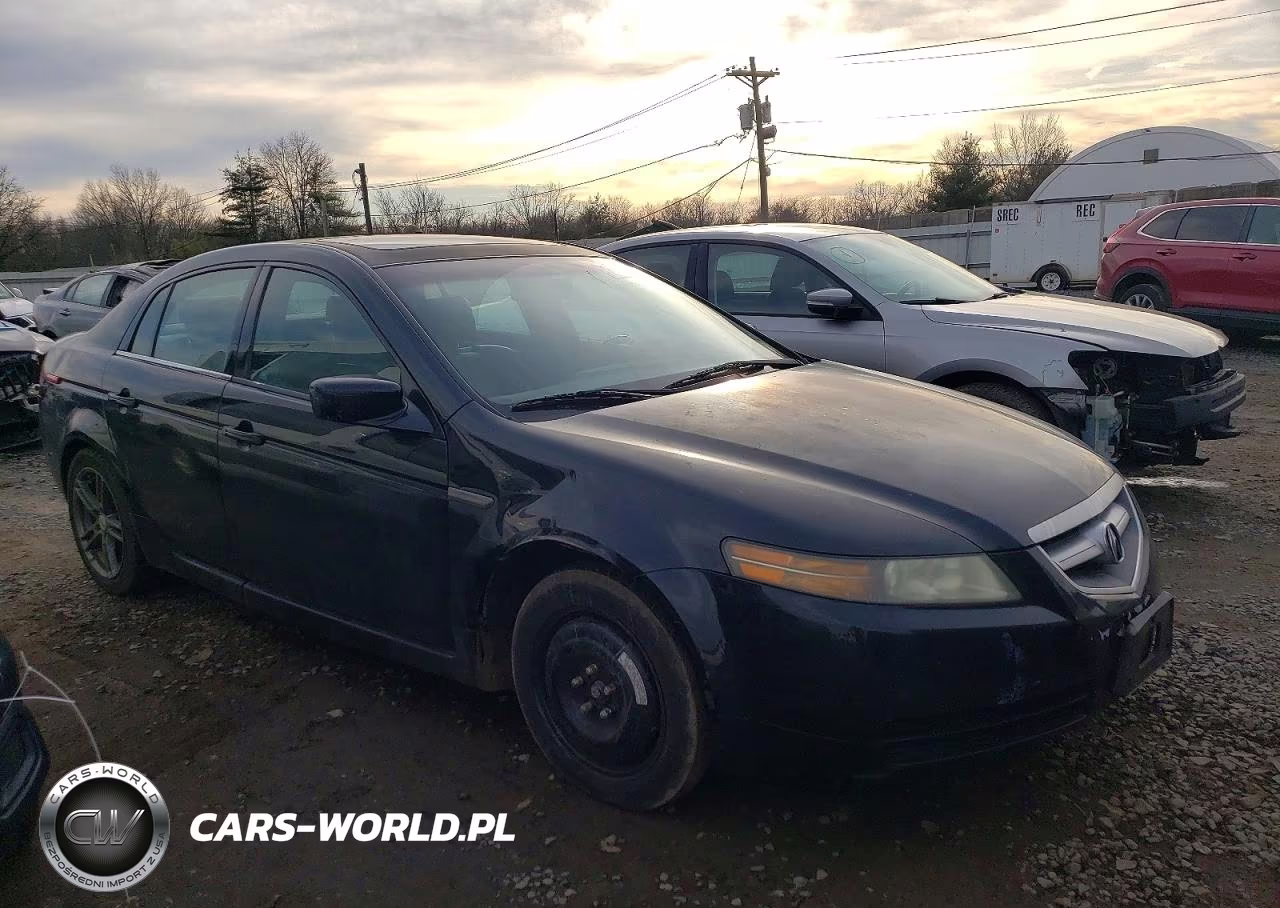 2004 Acura Tl VIN:19UUA66204A043975 - 4