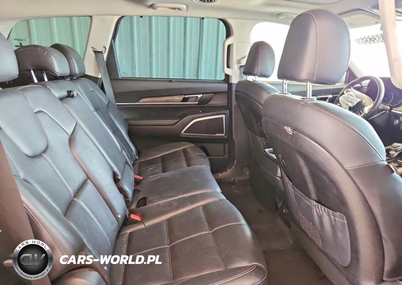 2020 Kia Telluride Ex VIN:5XYP34HC2LG034936 - 11