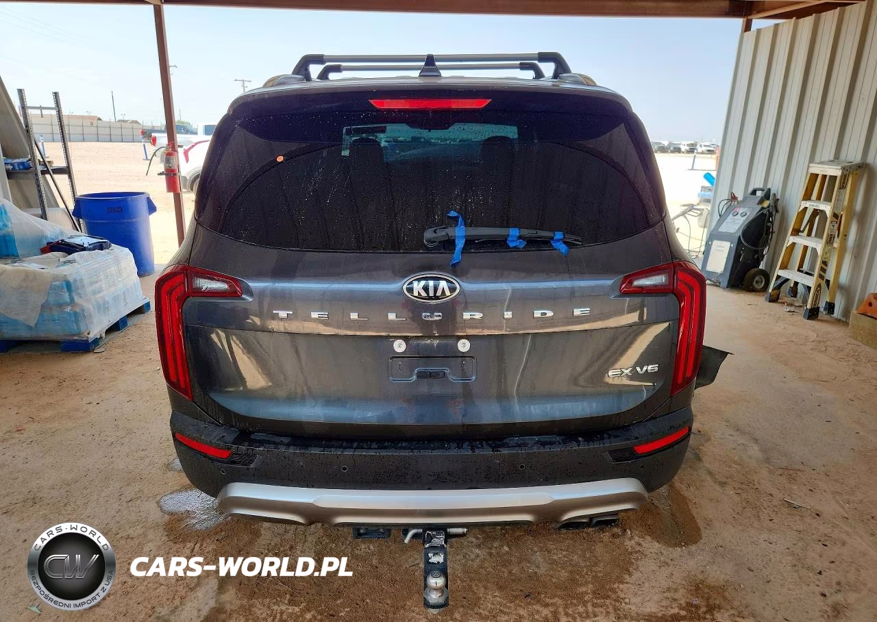 2020 Kia Telluride Ex VIN:5XYP34HC2LG034936 - 6