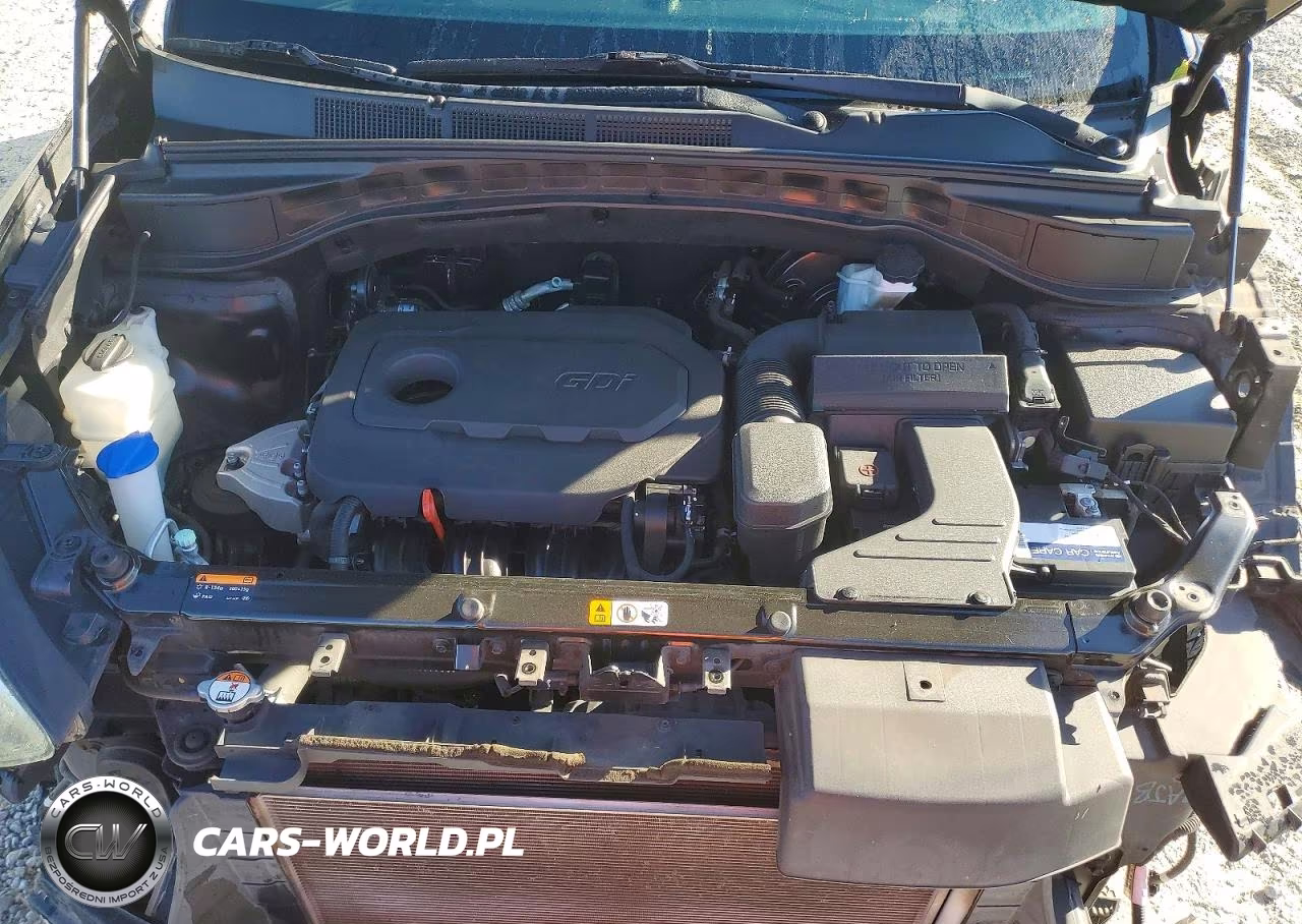 2017 Hyundai Santa Fe Sport 2.4L VIN:5NMZU3LB4HH048848 - 12