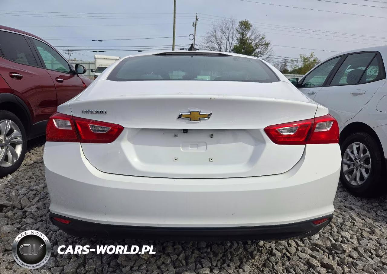 2023 Chevrolet Malibu Ls VIN:1G1ZC5ST8PF113553 - 6