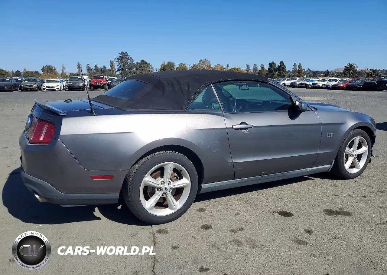 2010 Ford Mustang Gt VIN:1ZVBP8FH4A5146905 - 3