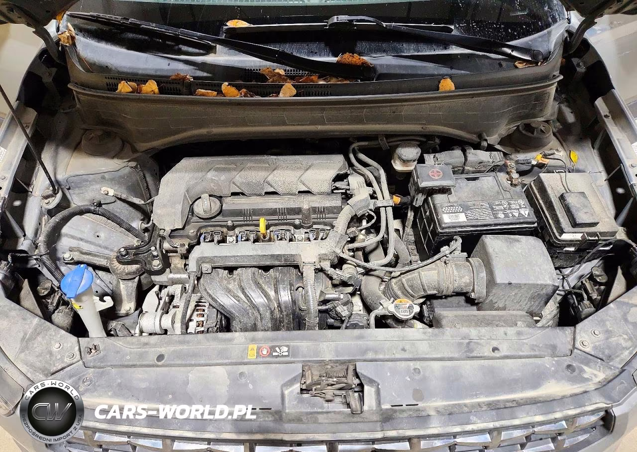 2023 Hyundai Venue Sel VIN:KMHRC8A31PU224429 - 12