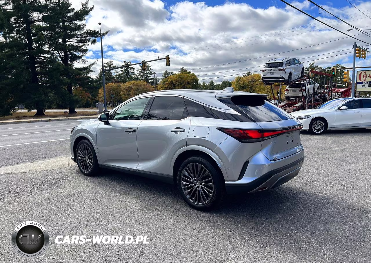 2023 Lexus Rx 350 Luxury VIN:2T2BAMCA3PC035743 - 3