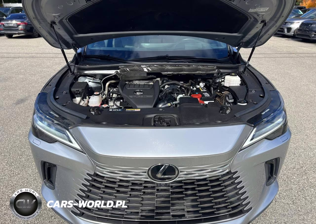2023 Lexus Rx 350 Luxury VIN:2T2BAMCA3PC035743 - 8
