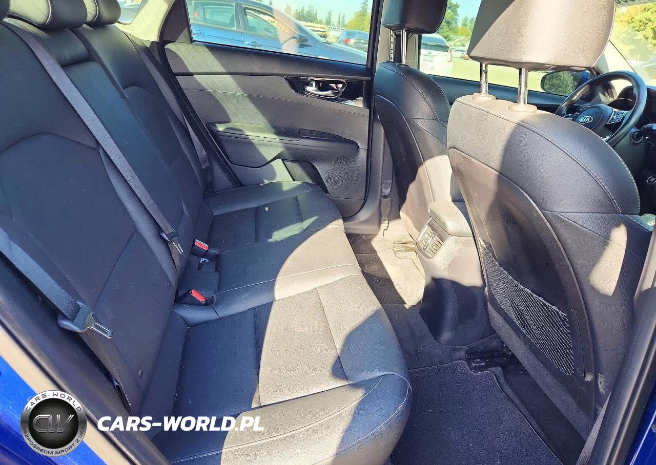 2020 Kia Forte Ex VIN:3KPF54AD0LE154613 - 10
