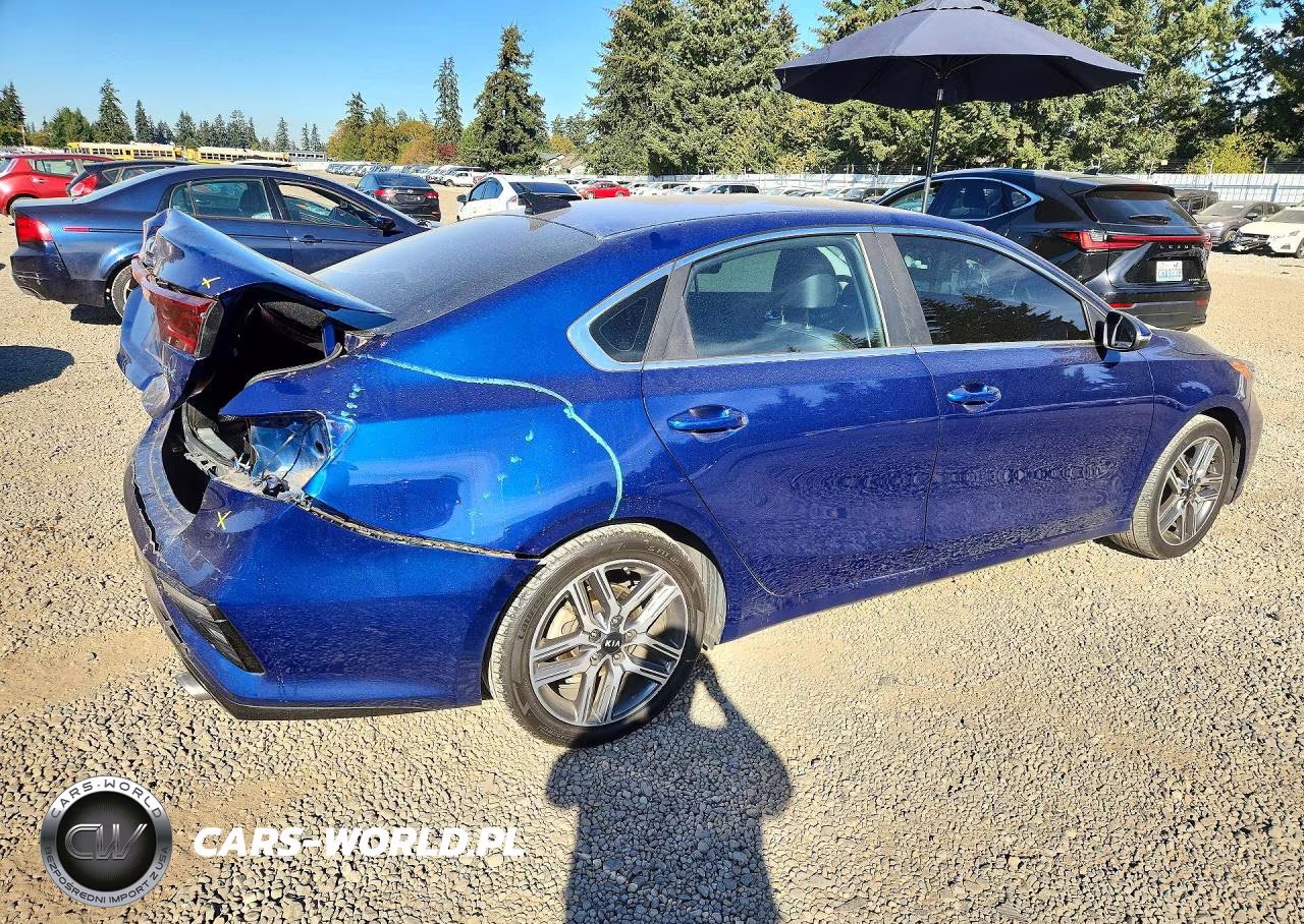 2020 Kia Forte Ex VIN:3KPF54AD0LE154613 - 3
