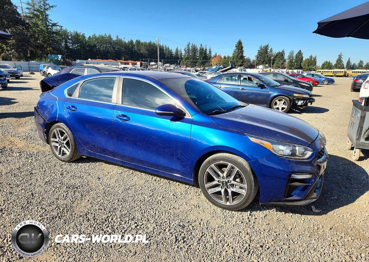 2020 Kia Forte Ex VIN:3KPF54AD0LE154613 - 4