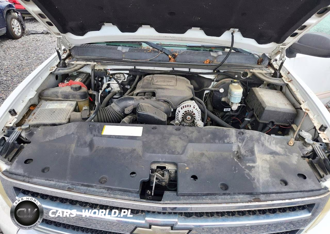 2009 Chevrolet Silverado K1500 VIN:2GCEK133391101854 - 11