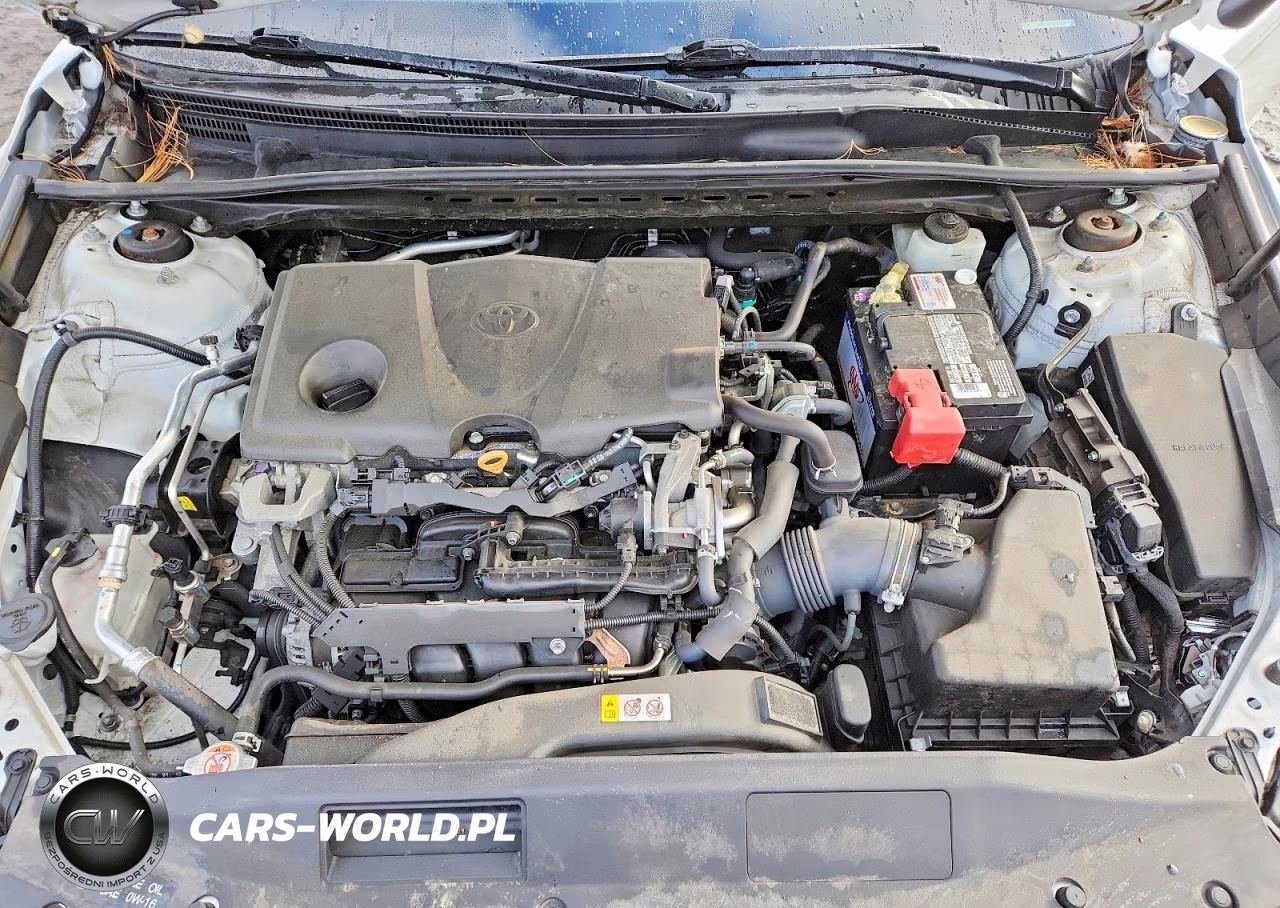 2019 Toyota Camry Xse VIN:4T1B61HK9KU296341 - 11