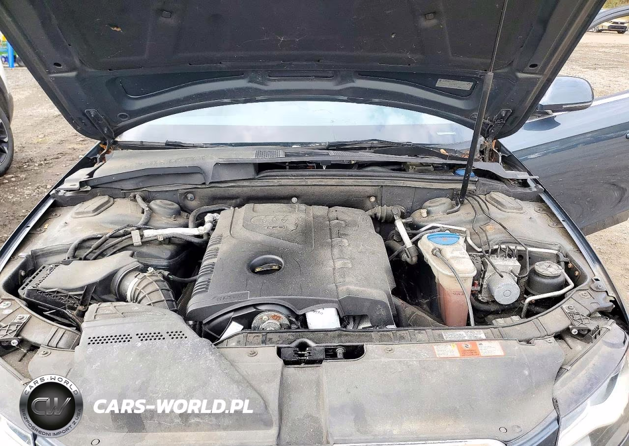 2009 Audi A4 Prestige VIN:WAUMF78K59A113459 - 11