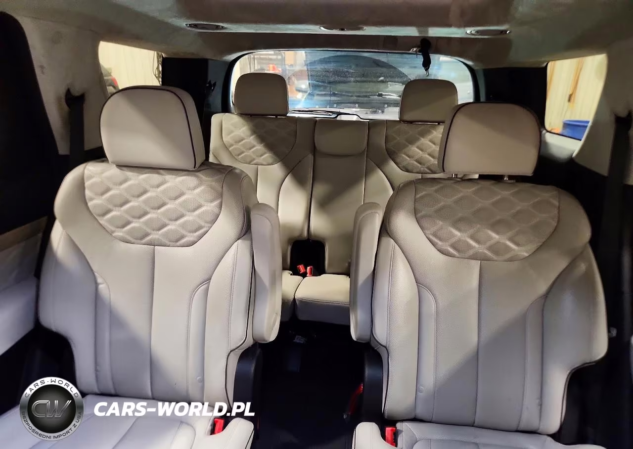 2022 Hyundai Palisade Calligraphy VIN:KM8R7DHE3NU464115 - 10