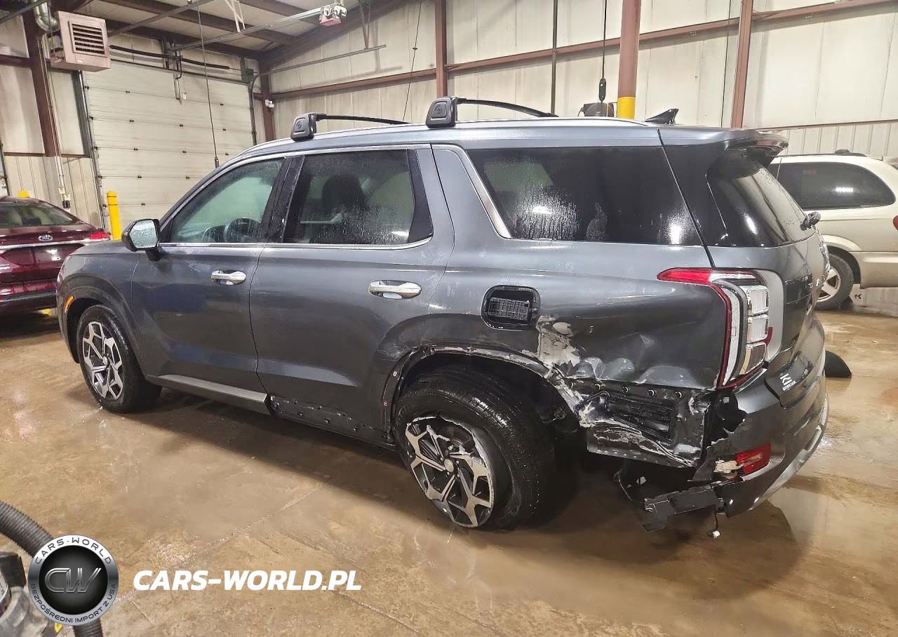 2022 Hyundai Palisade Calligraphy VIN:KM8R7DHE3NU464115 - 2