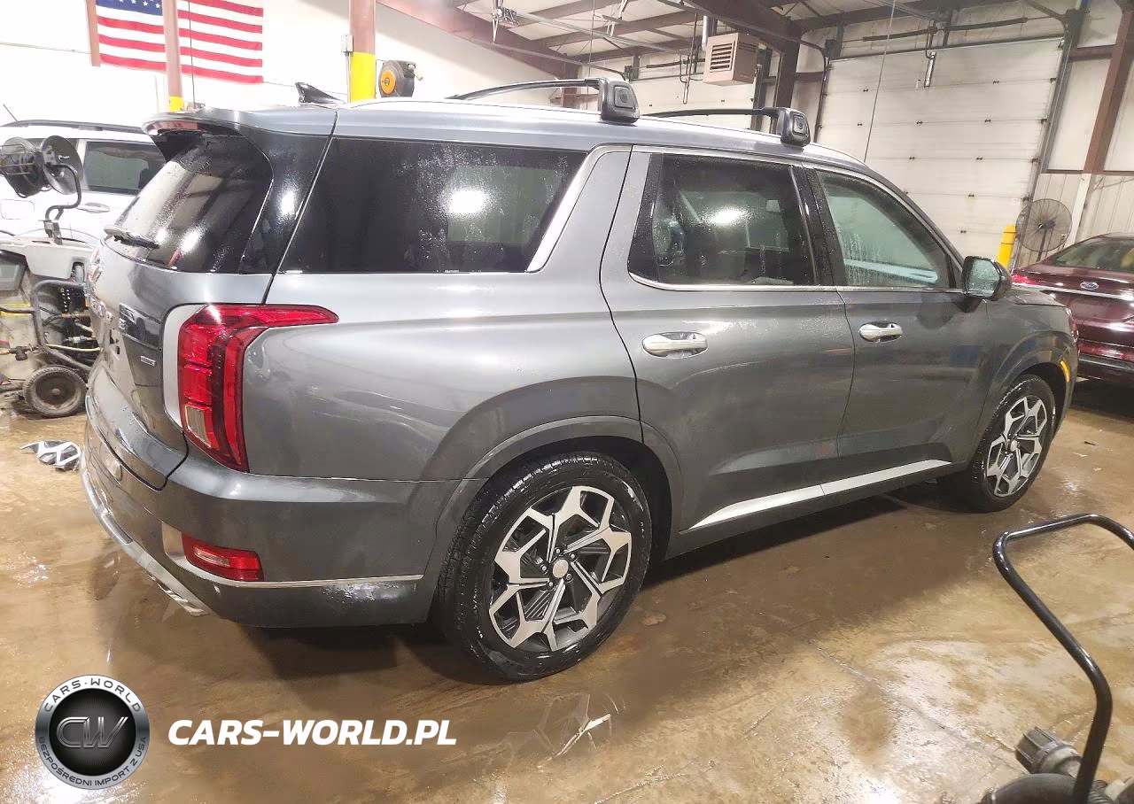 2022 Hyundai Palisade Calligraphy VIN:KM8R7DHE3NU464115 - 3
