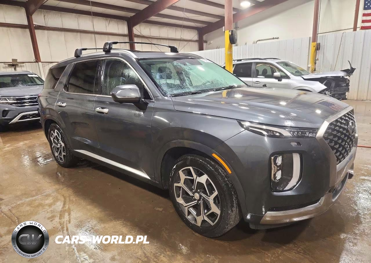 2022 Hyundai Palisade Calligraphy VIN:KM8R7DHE3NU464115 - 4