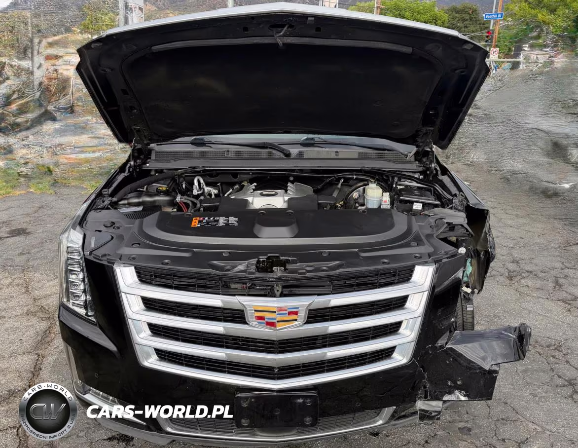 2020 Cadillac Escalade Premium Luxury VIN:1GYS3CKJ3LR148094 - 7