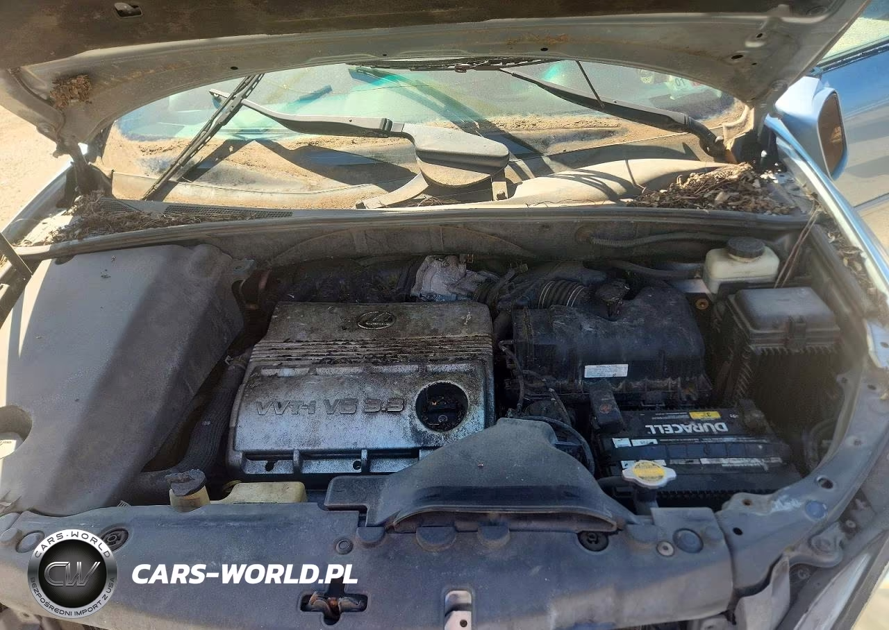 2006 Lexus Rx 330 VIN:2T2GA31U56C053012 - 14