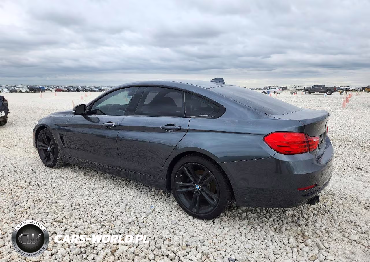 2015 BMW 428 I Gran Coupe Sulev VIN:WBA4A9C5XFGL87194 - 2