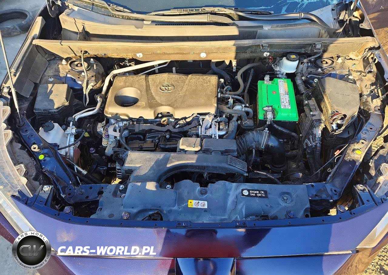 2019 Toyota Rav4 Xle VIN:2T3W1RFVXKW001167 - 12