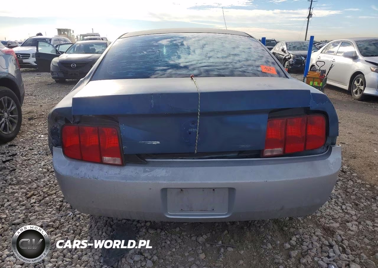 2007 Ford Mustang VIN:1ZVFT80NX75265529 - 6