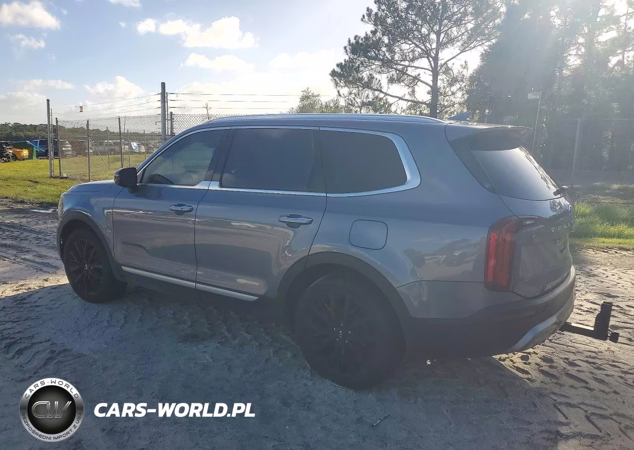 2021 Kia Telluride Sx VIN:5XYP54HC0MG194292 - 2