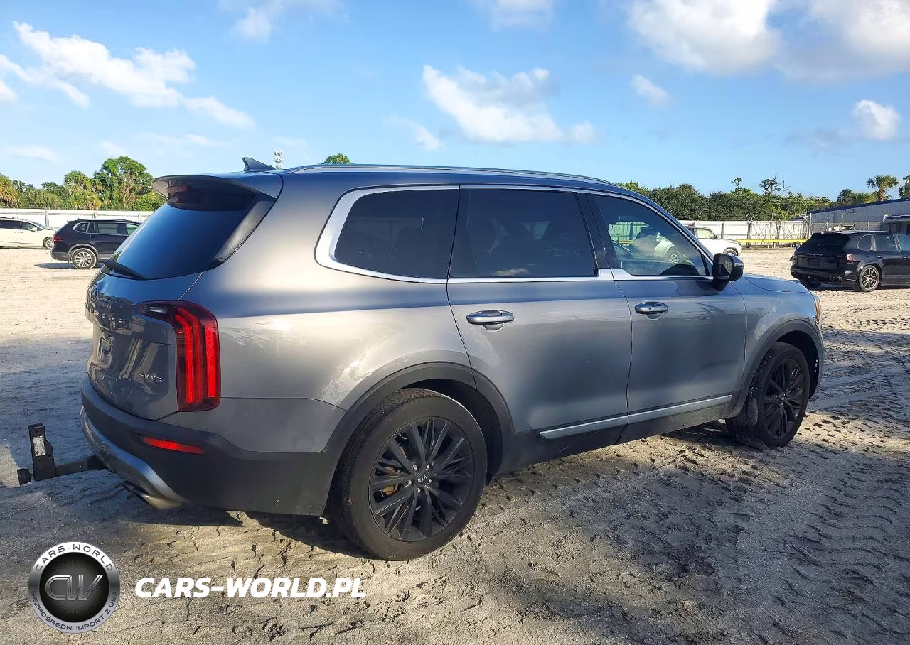 2021 Kia Telluride Sx VIN:5XYP54HC0MG194292 - 3