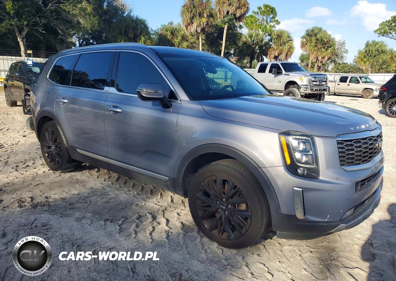 2021 Kia Telluride Sx VIN:5XYP54HC0MG194292 - 4