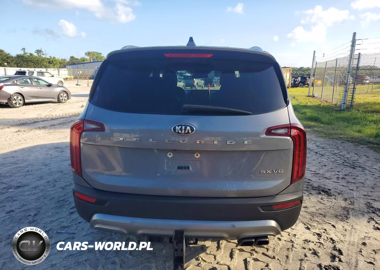 2021 Kia Telluride Sx VIN:5XYP54HC0MG194292 - 6