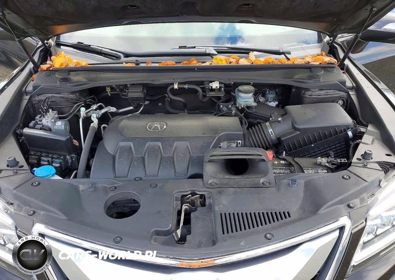 2017 Acura Rdx Technology VIN:5J8TB4H55HL026569 - 12