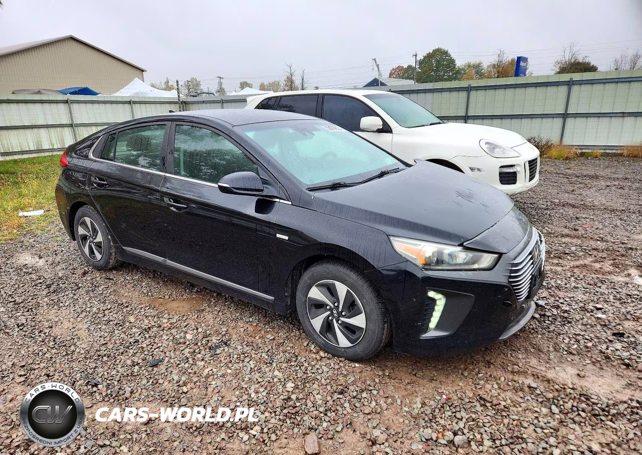 2018 Hyundai Ioniq Sel VIN:KMHC75LC1JU060421 - 4