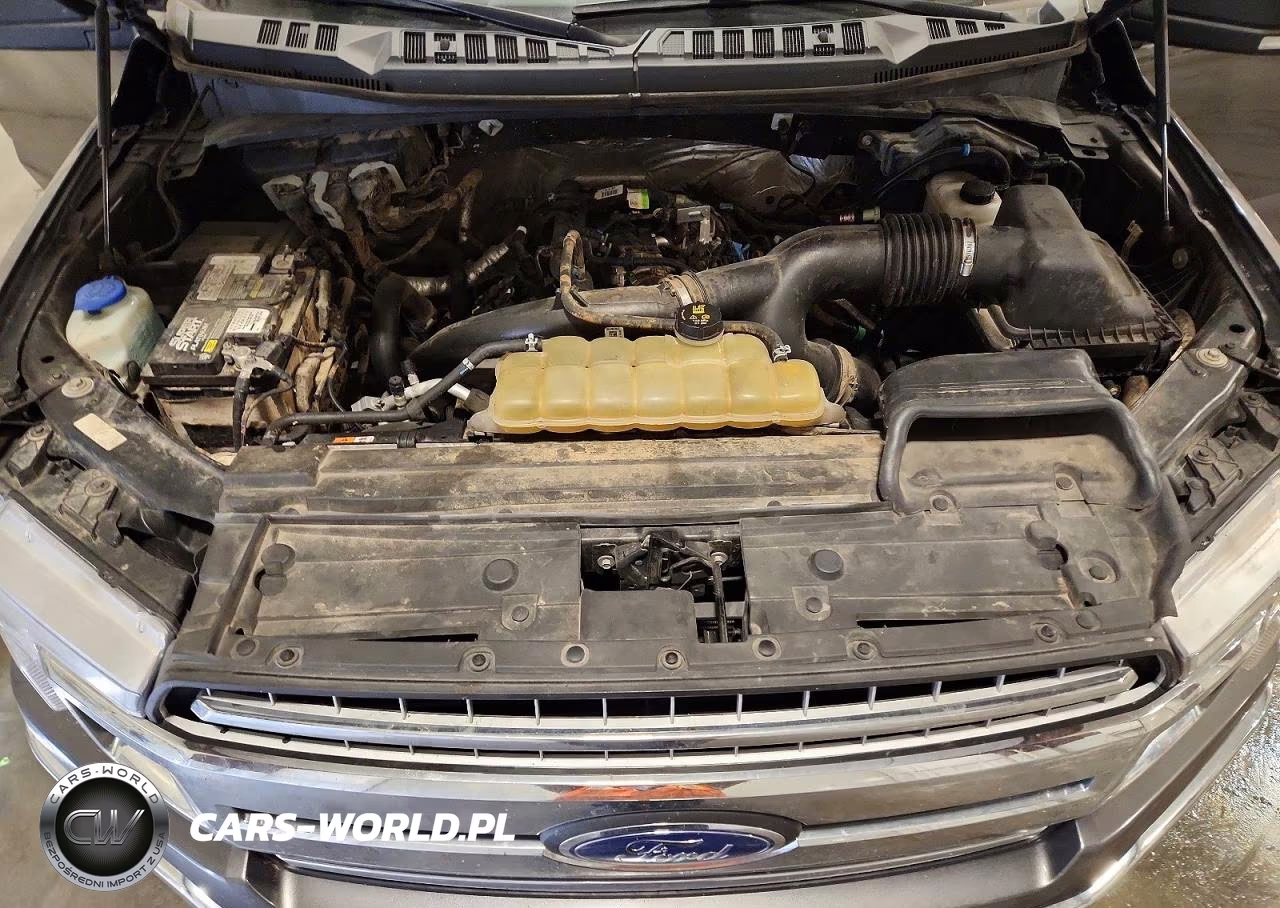 2019 Ford F150 Supercrew VIN:1FTEW1EP0KFB46270 - 11