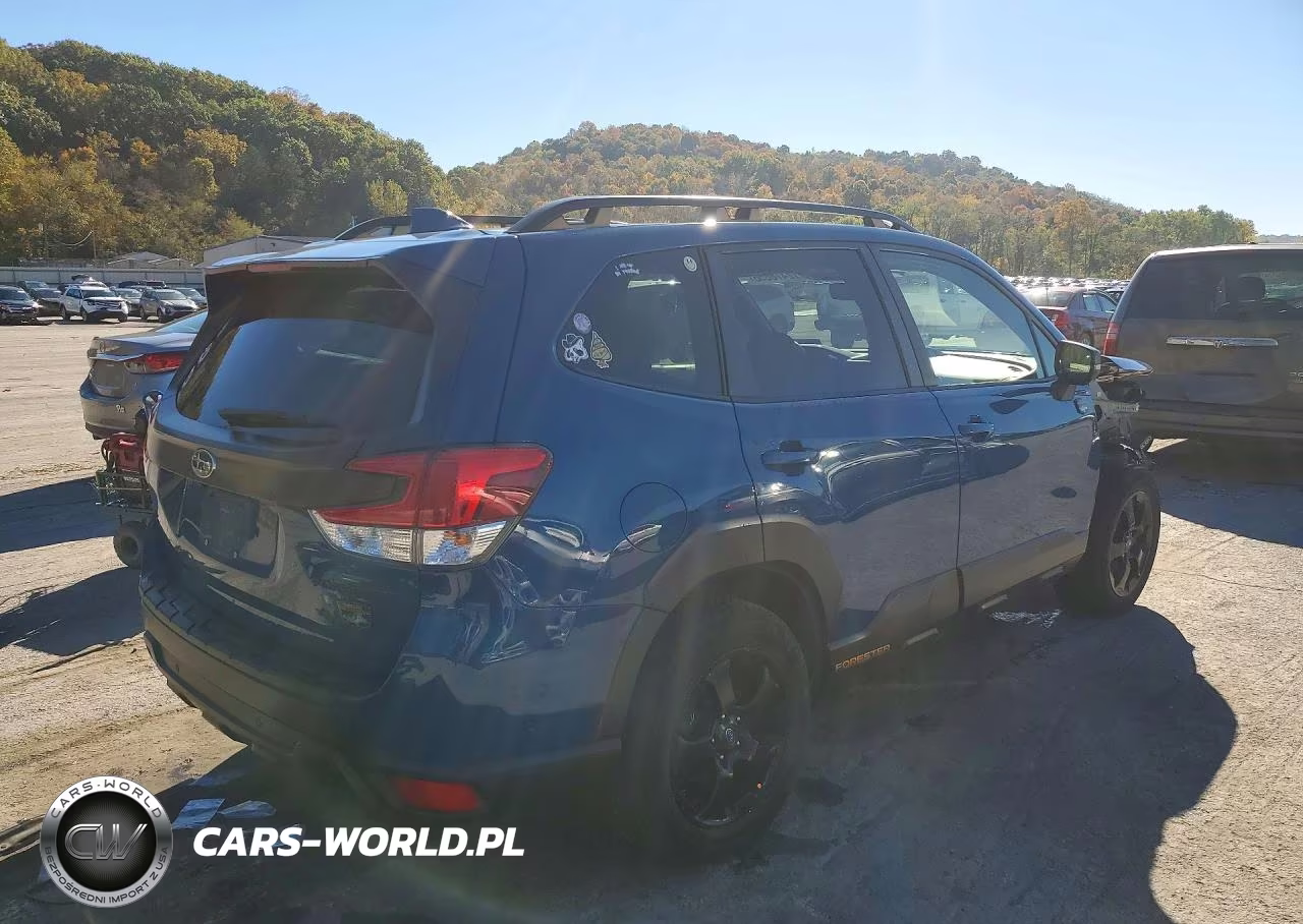 2022 Subaru Forester Wilderness VIN:JF2SKAMC7NH426761 - 3