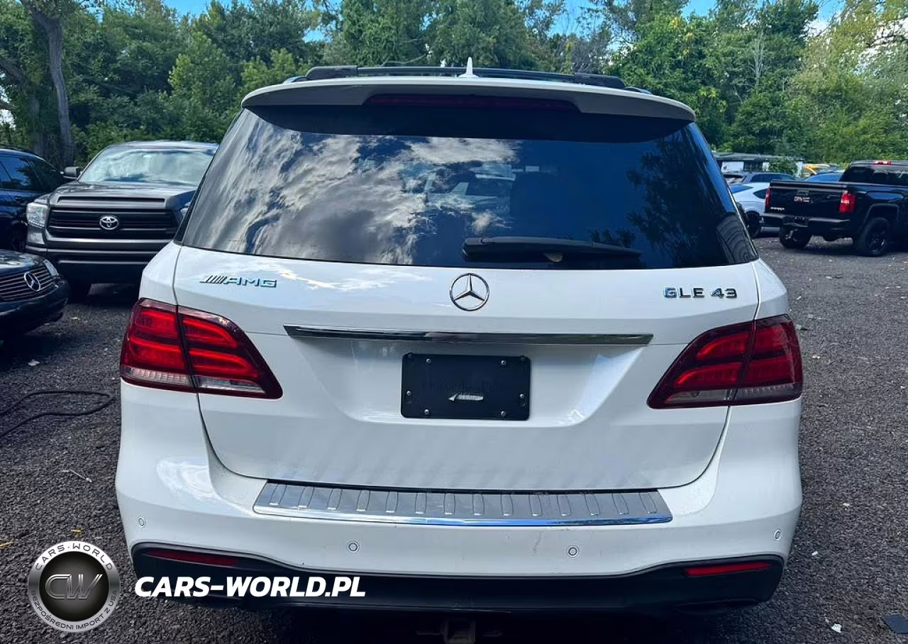 2019 Mercedes-Benz Gle 43 Amg VIN:4JGDA6EB5KB187282 - 6