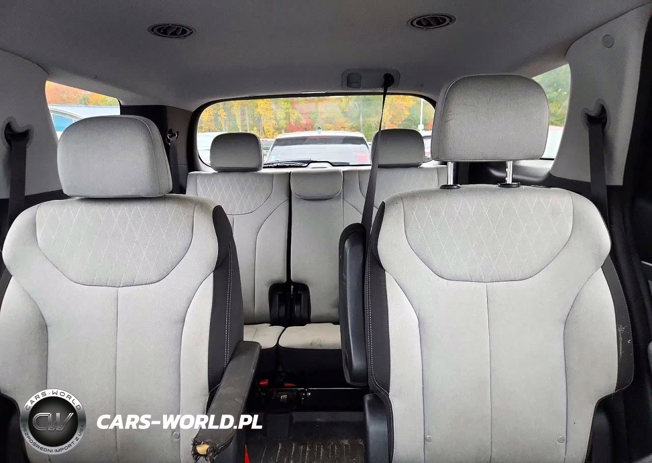 2020 Hyundai Palisade VIN:KM8R2DHEXLU040328 - 10