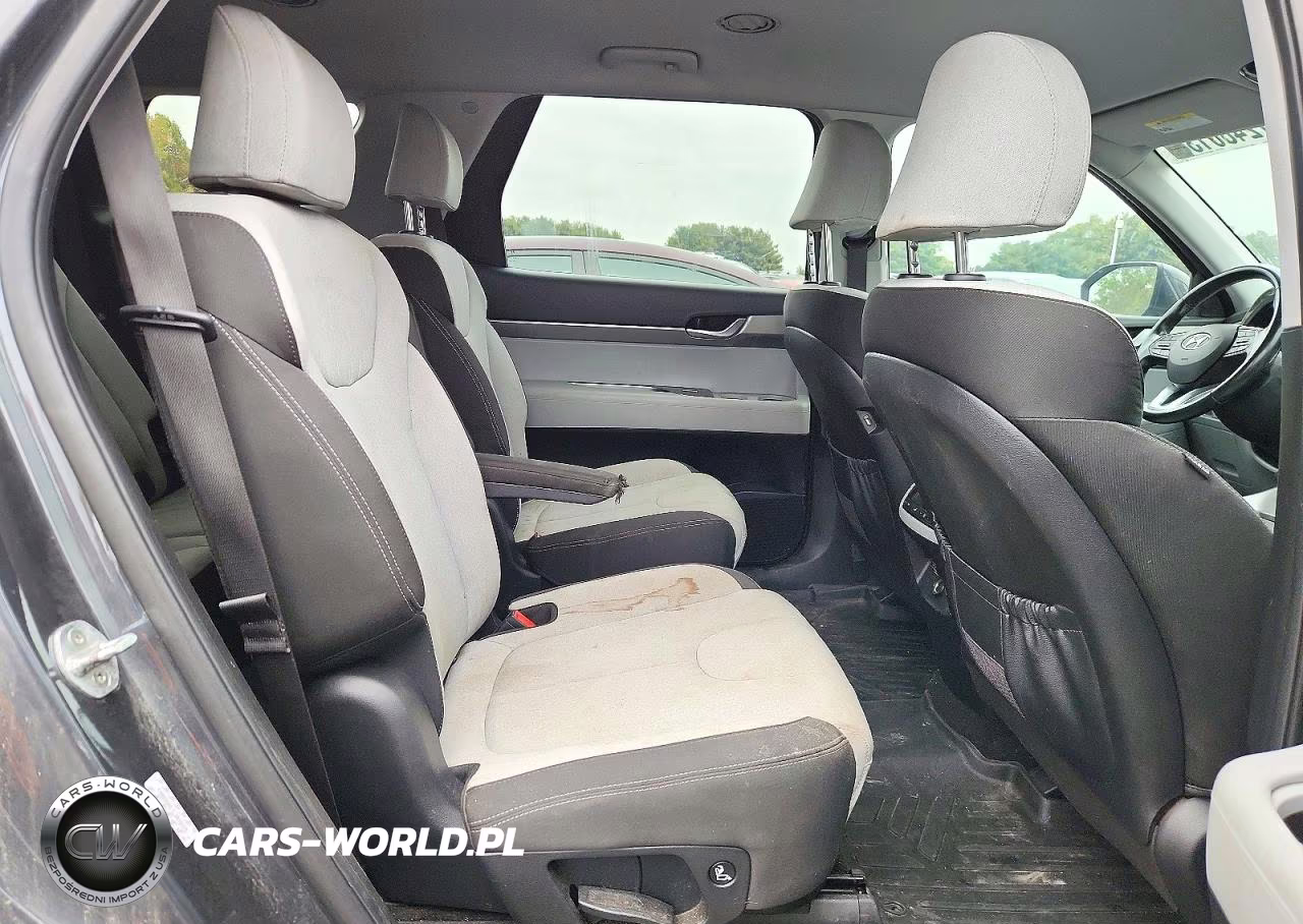 2020 Hyundai Palisade VIN:KM8R2DHEXLU040328 - 11