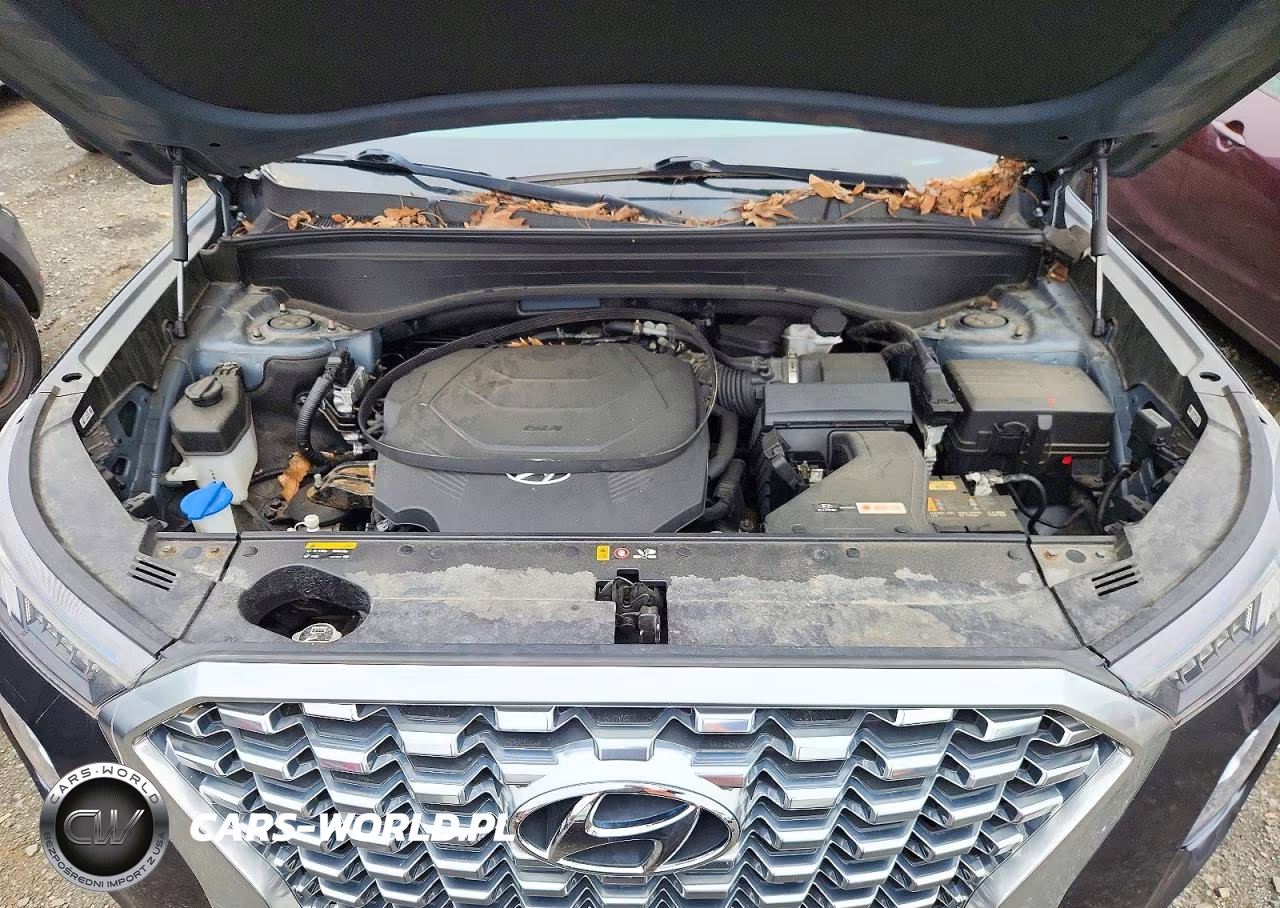 2020 Hyundai Palisade VIN:KM8R2DHEXLU040328 - 12