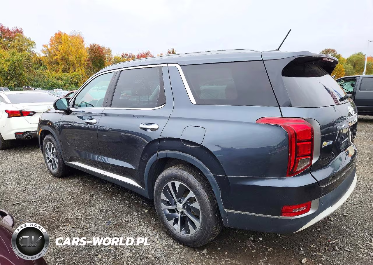 2020 Hyundai Palisade VIN:KM8R2DHEXLU040328 - 2