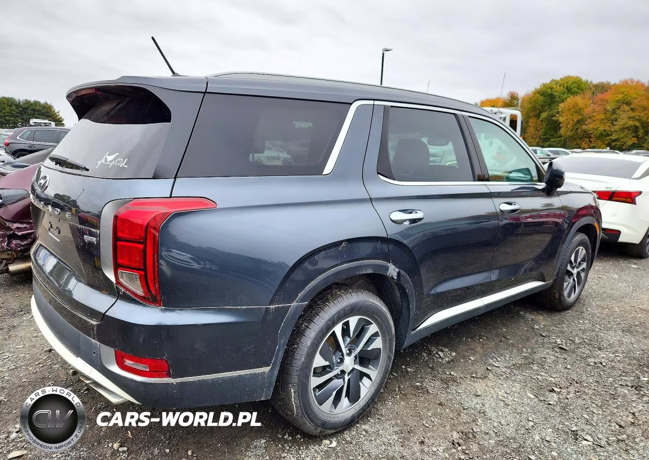 2020 Hyundai Palisade VIN:KM8R2DHEXLU040328 - 3