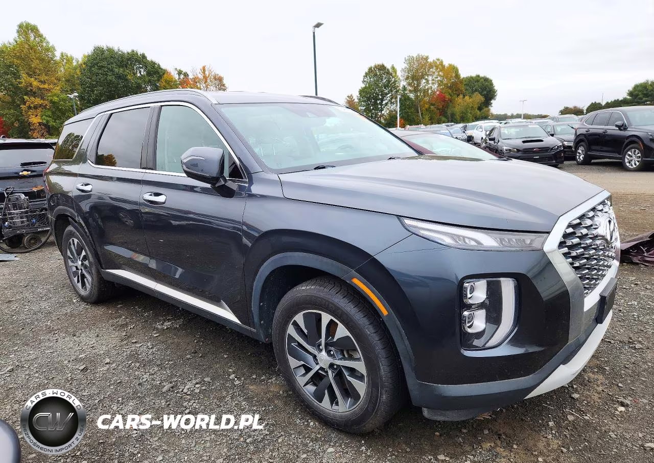 2020 Hyundai Palisade VIN:KM8R2DHEXLU040328 - 4