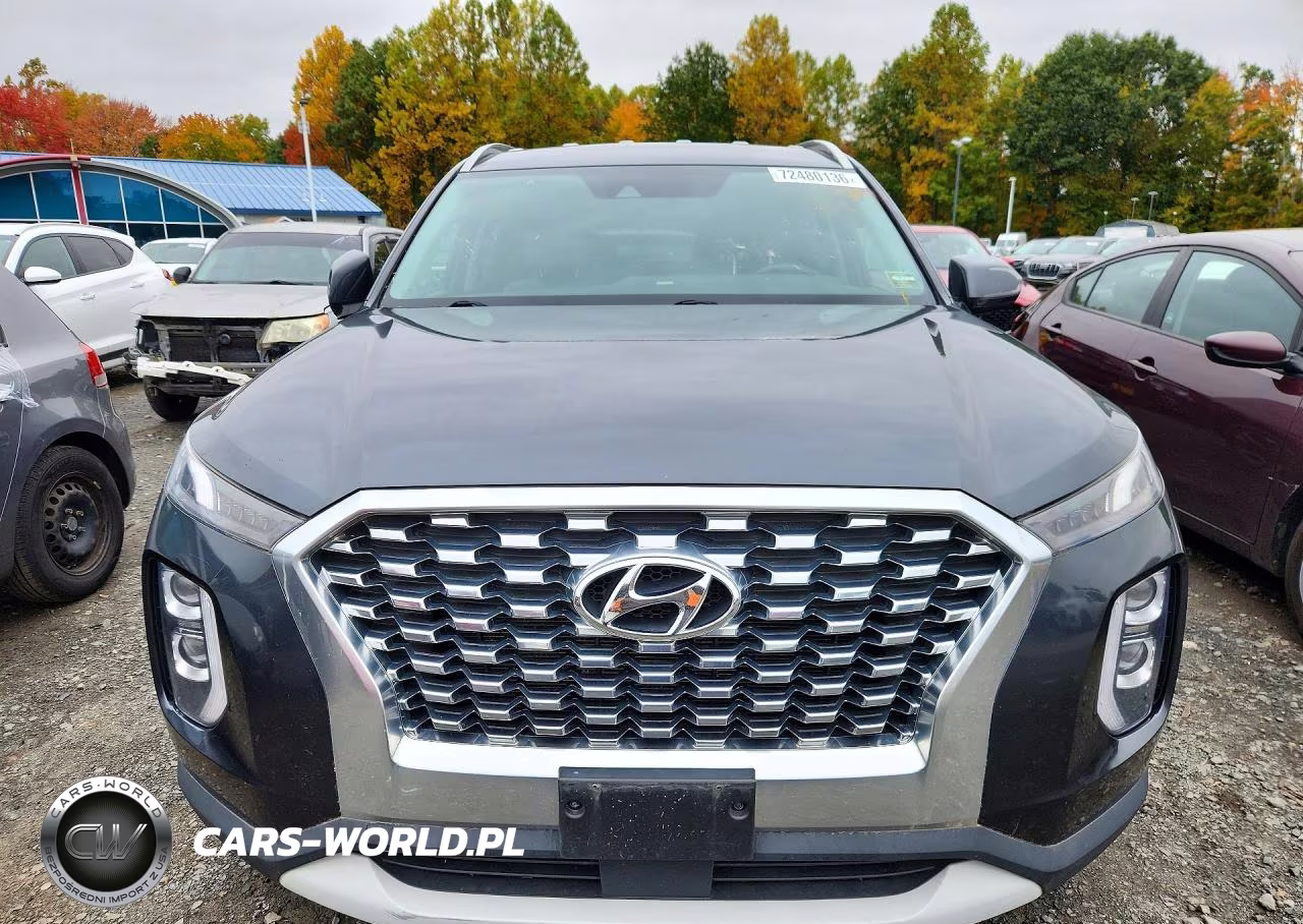2020 Hyundai Palisade VIN:KM8R2DHEXLU040328 - 5